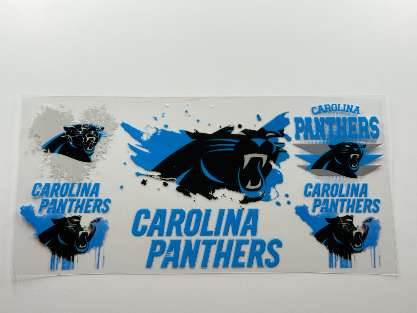 Panthers 1