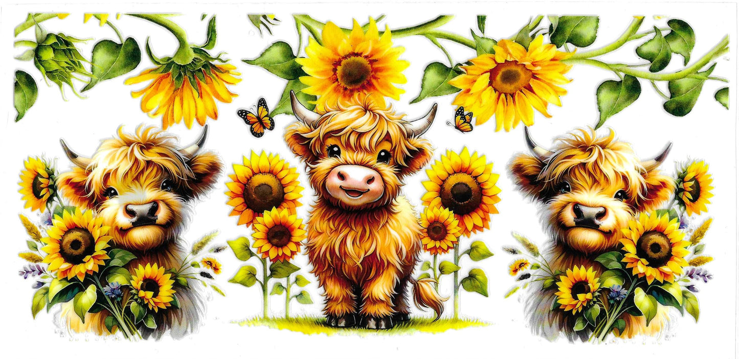 SUNFLOWERS COWS