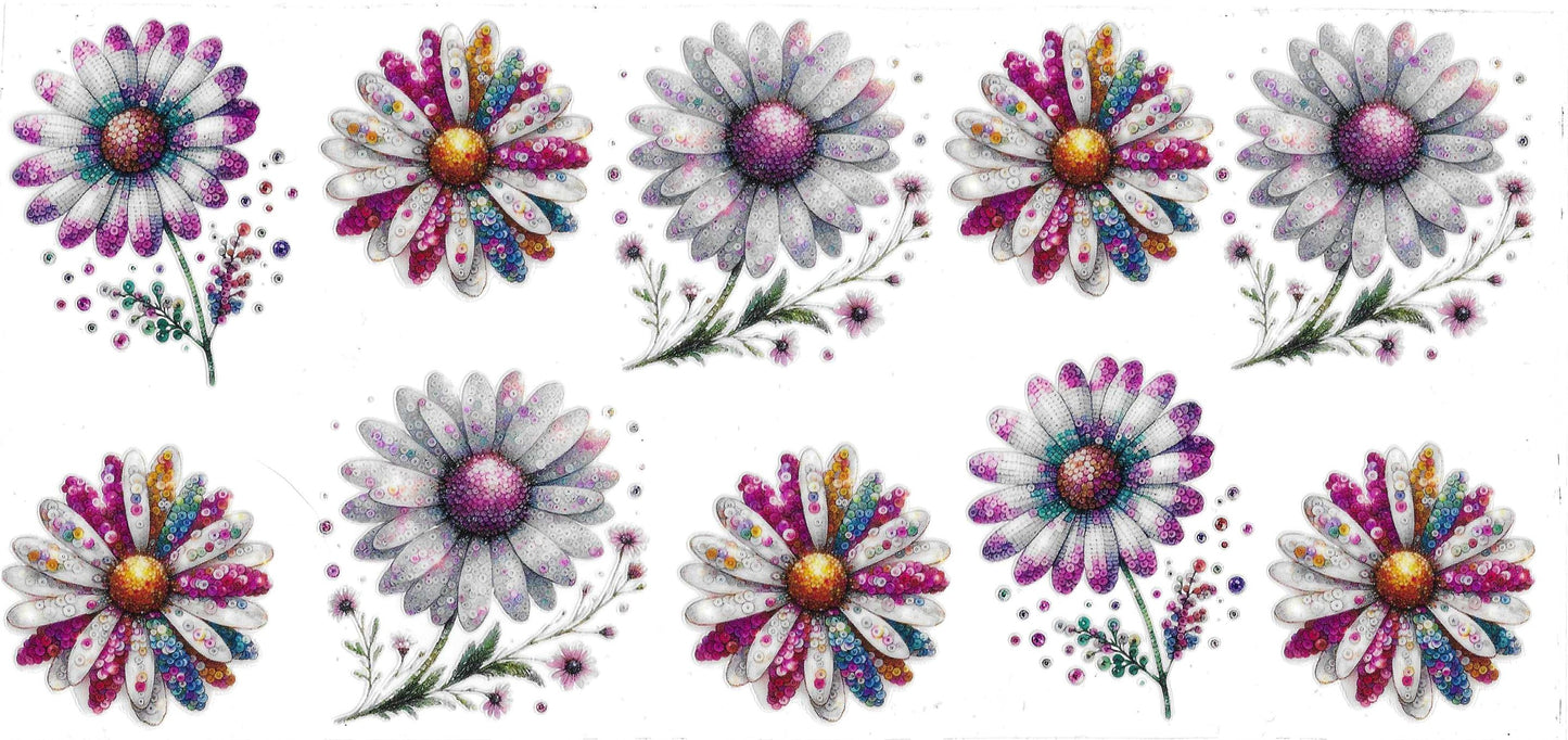 DAISIES
