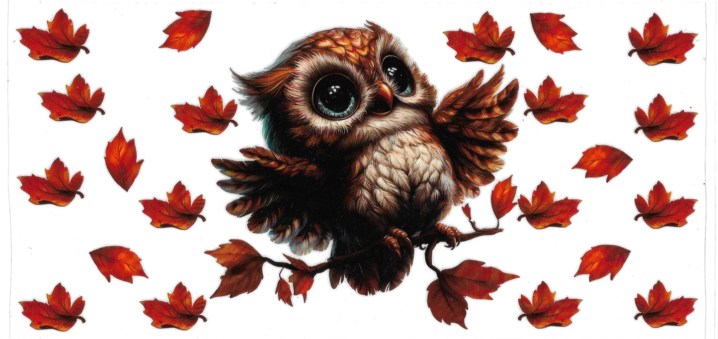 FALL OWL