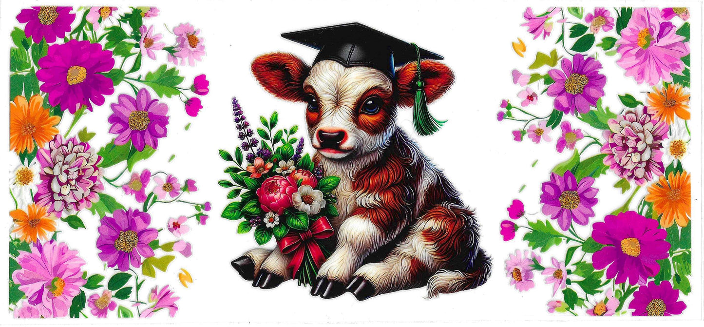 GRADUATION COW