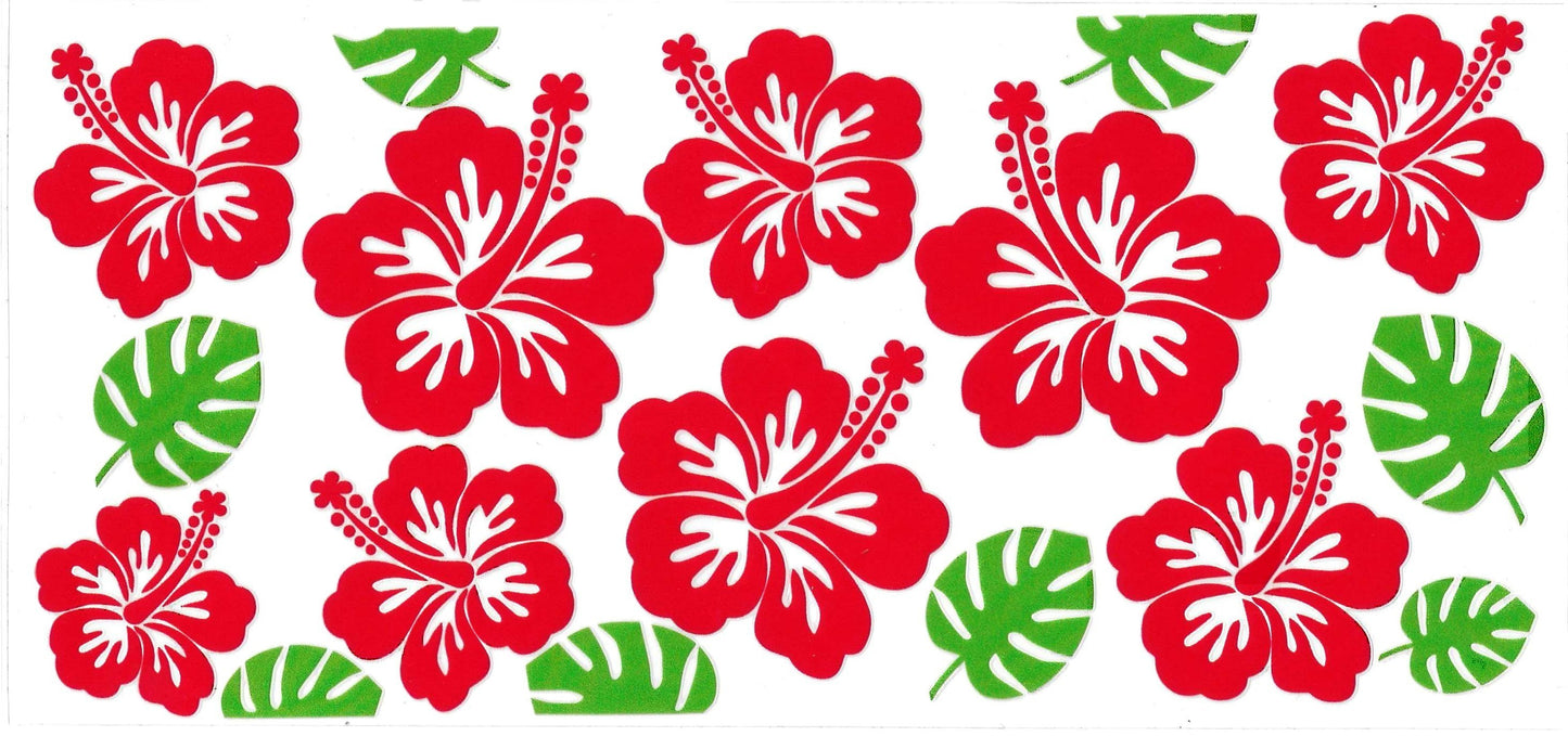 HIBISCUS FLOWERS