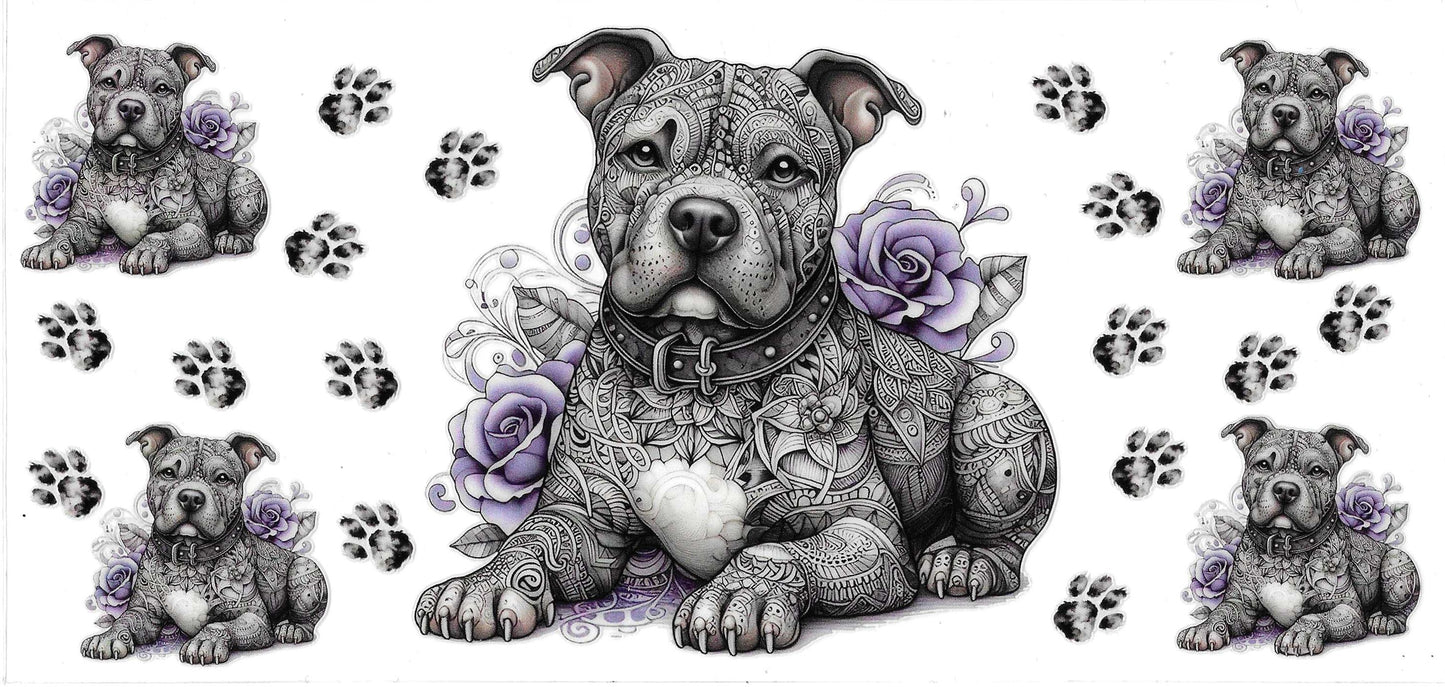 PITBULL