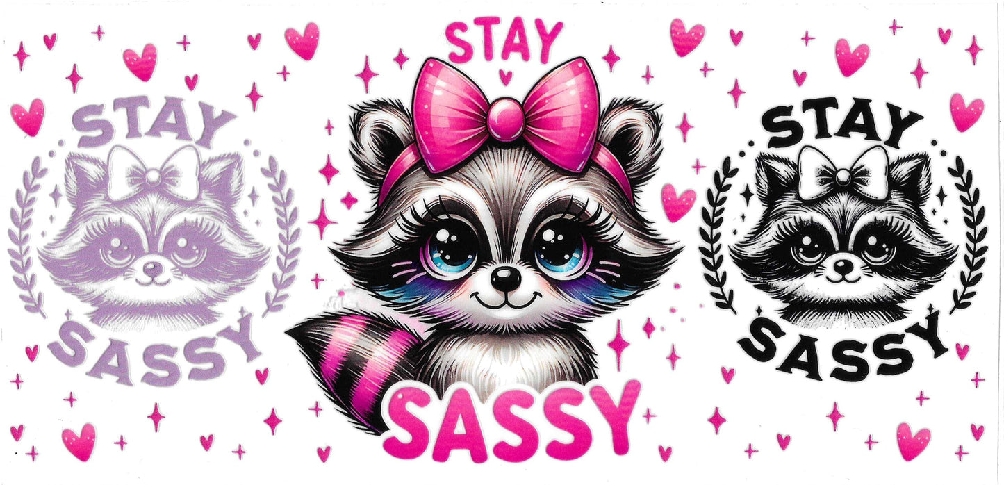 SASSY RACCOON