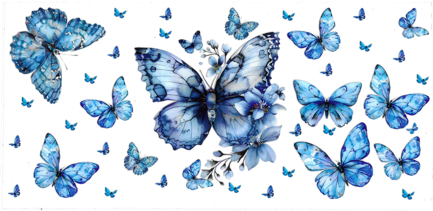 BLUE BUTTERFLY