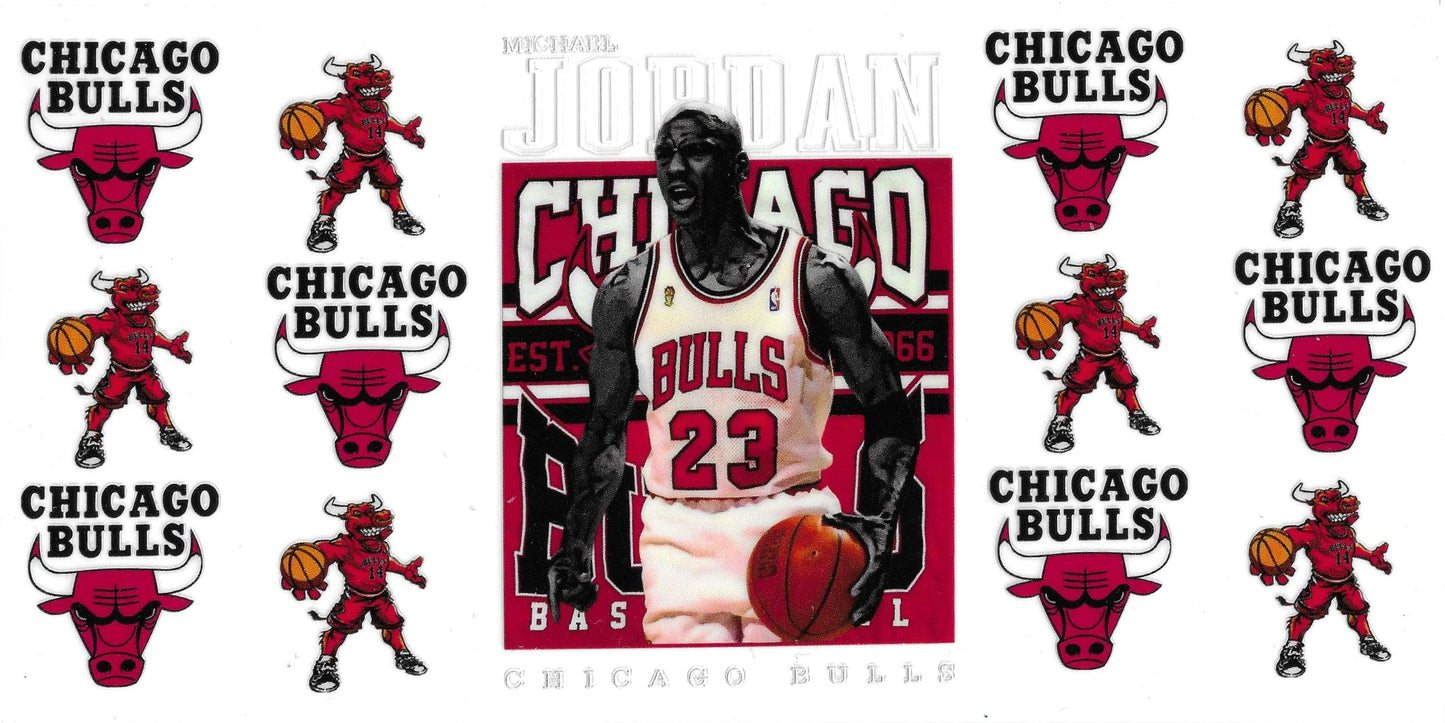 BULLS JORDAN