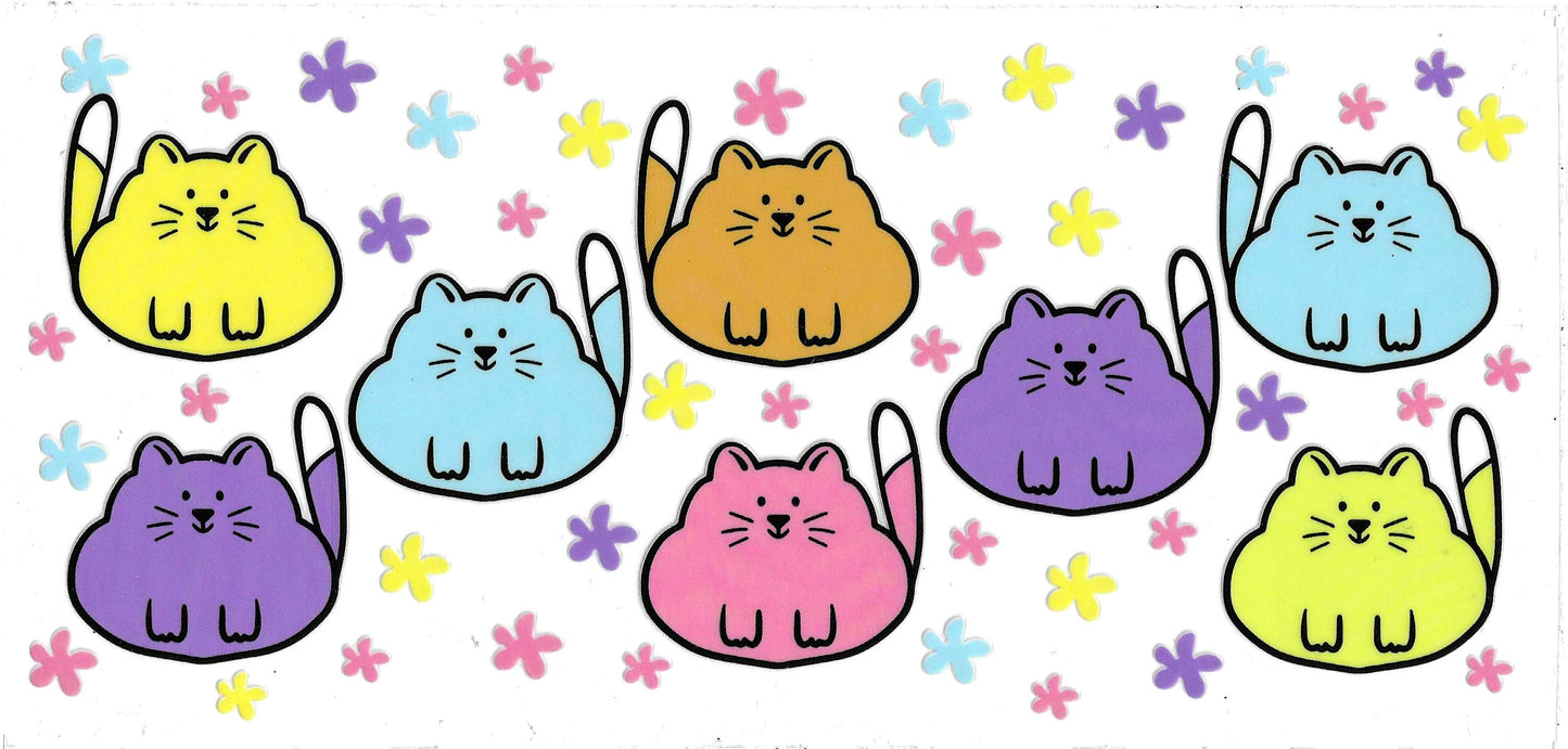 CHUNKY KITTY