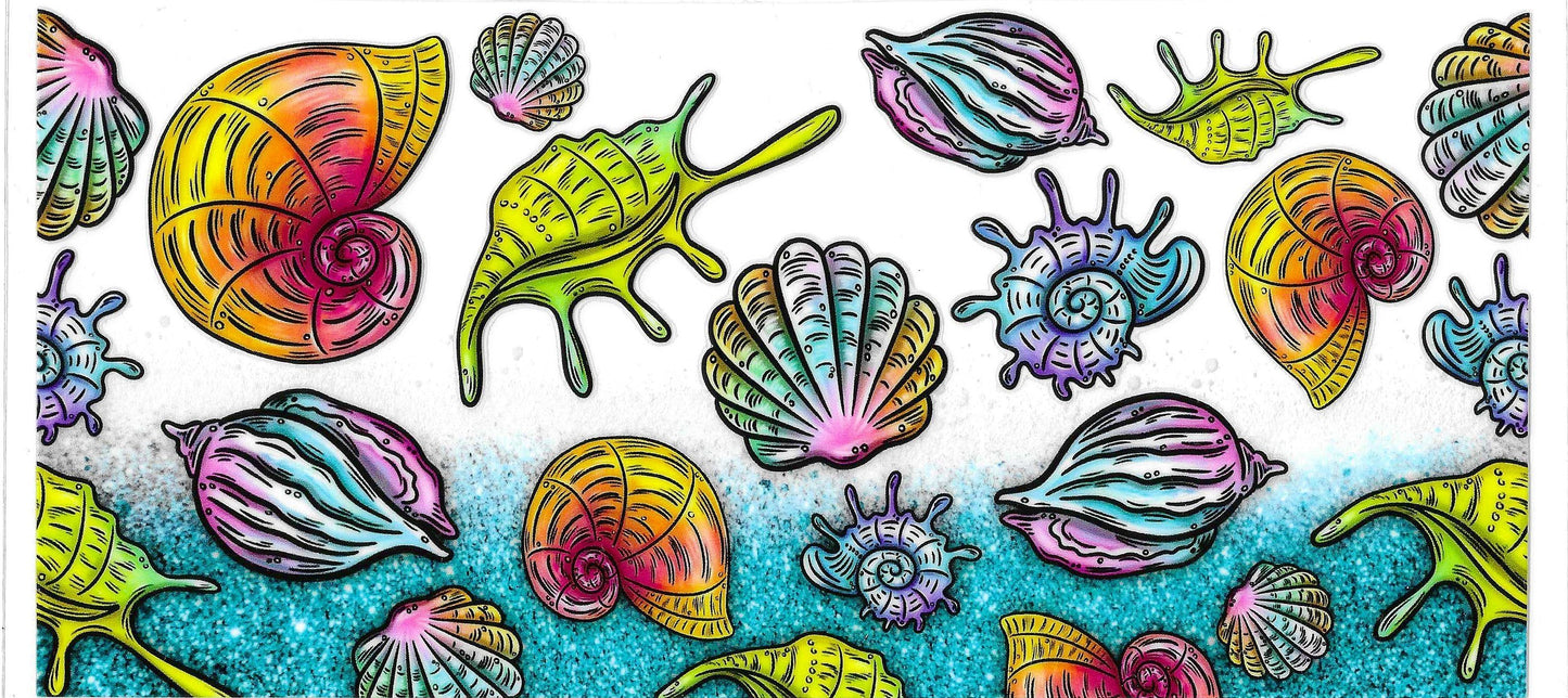COLORFUL SHELLS