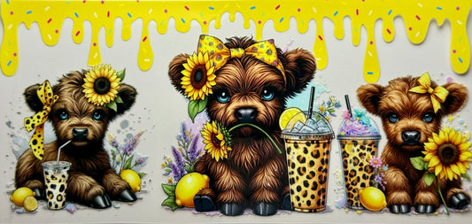 Honey Cow
