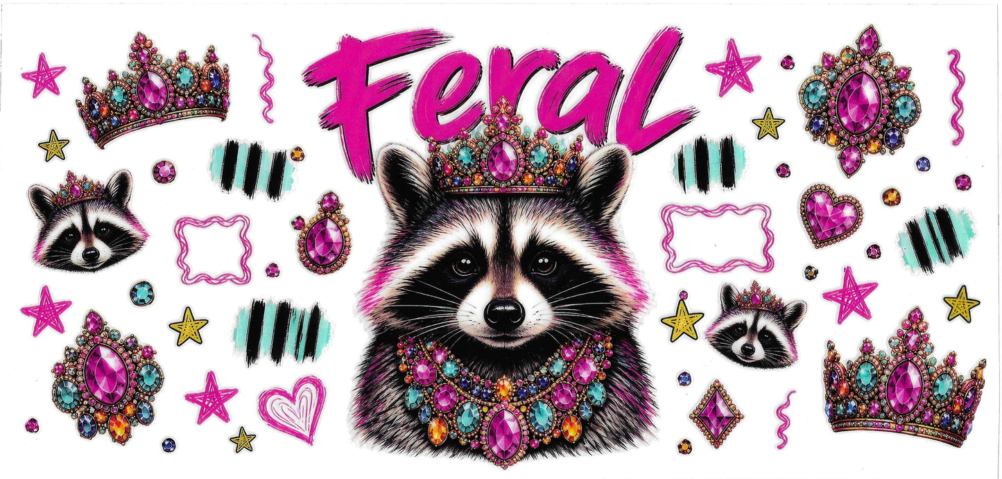 FERAL RACCOON