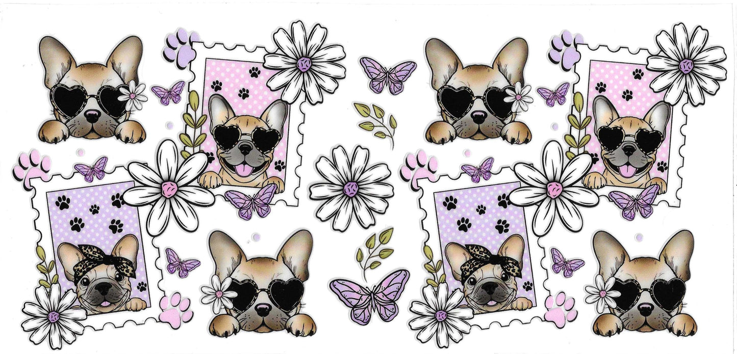 FRENCH BULL DOG