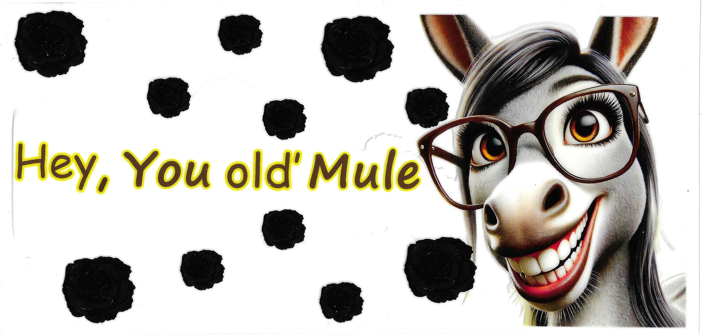 HEY YOU OLD MULE