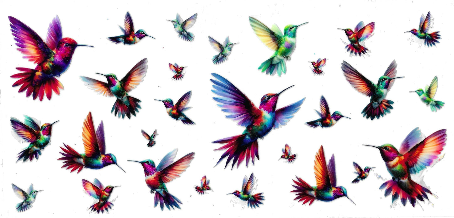 HUMMING BIRDS