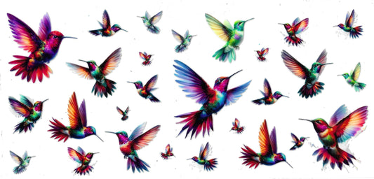 HUMMING BIRDS