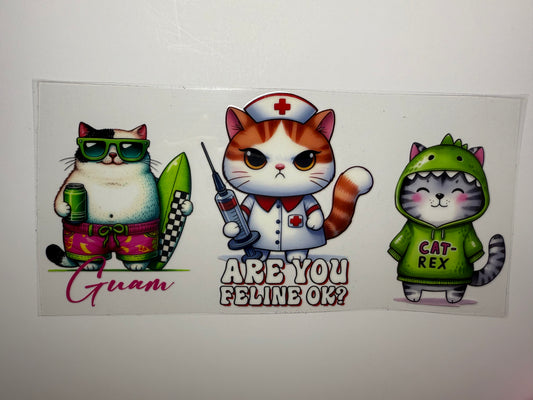Nurse Kitty