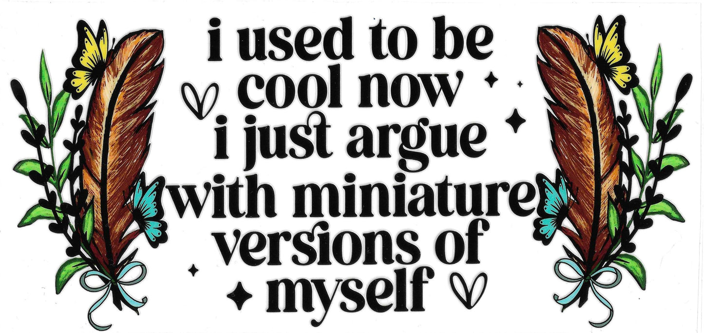 I Used To Be Cool