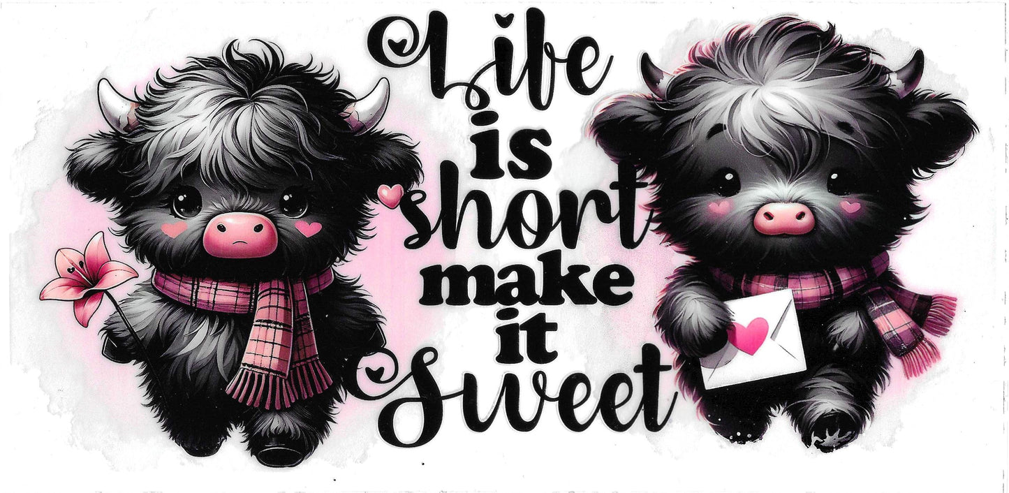 LIFE IS SHORT
