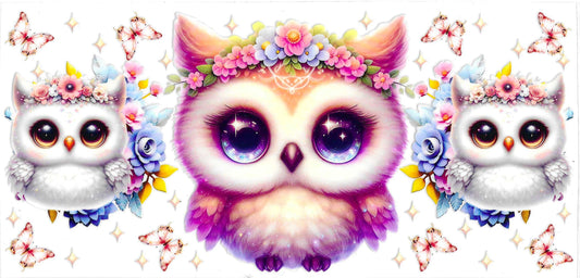 OWL CUTIES