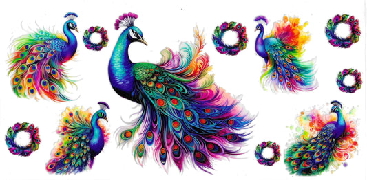 PEACOCK