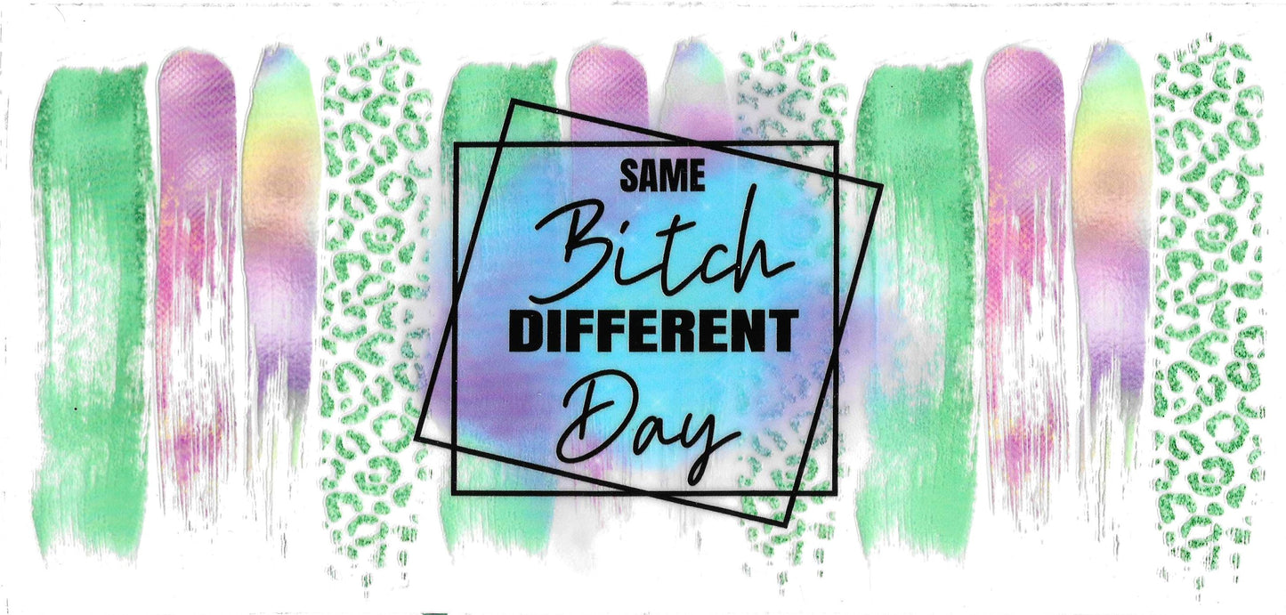 Same Bitch Differnt Day