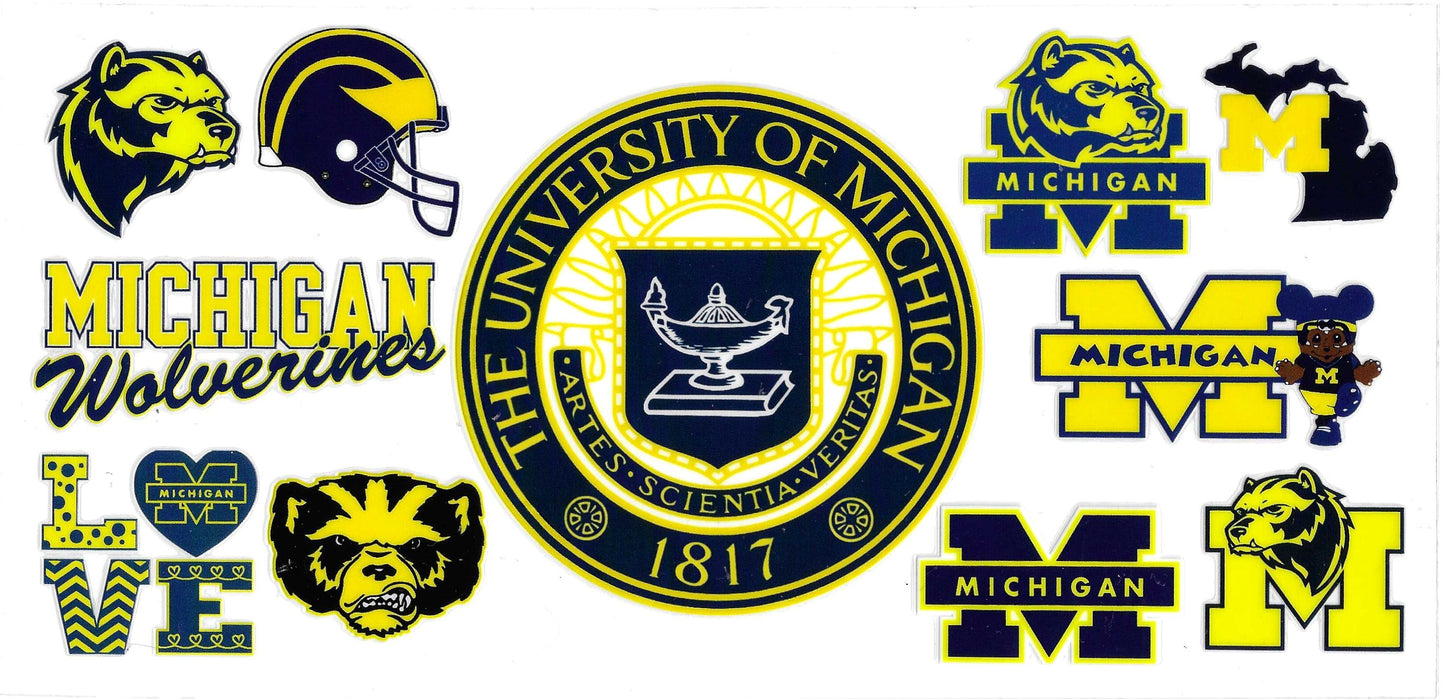 UNIVERSITY OF MICHIGAN